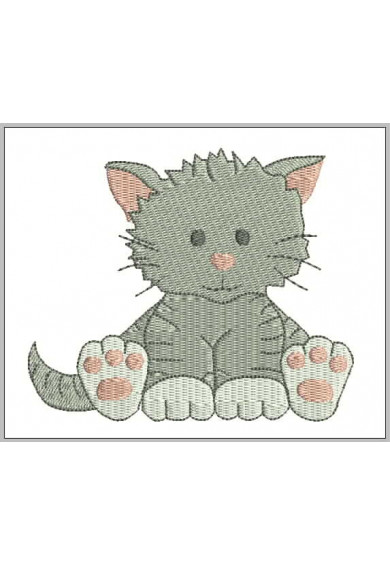 Pet041 - Grey cat